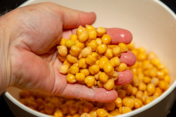 Chickpea or Egyptian pea isolated on white background. (Cicer arietinum)