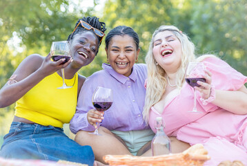 Three happy young women drink red wine at an sitting in outdoor picnic. Group of female friends toasting in the park