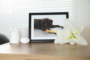 Pet funeral. Frame with picture of dog, burning candles and lily flower on wooden table indoors