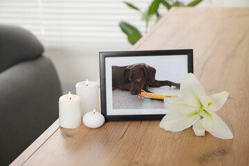 Pet funeral. Frame with picture of dog, burning candles and lily flower on wooden table indoors