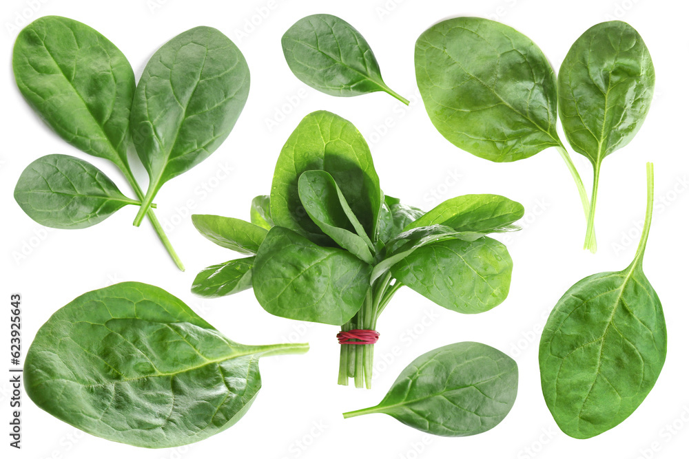 Wall mural collage with green baby spinach leaves on white background