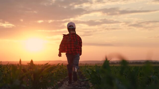 Kid runs in rubber boots on field with sprouts. Happy little girl rubber boots run on field sunset. Farmer child run in field corn sprouts. Happy carefree childhood. Growing corn, agricultural, food