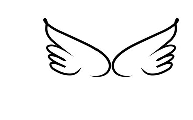 Wings Vector 