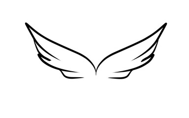 Wings Vector 