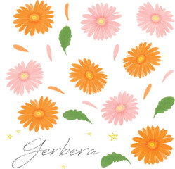 ガーベラミックスの手描き水彩セット