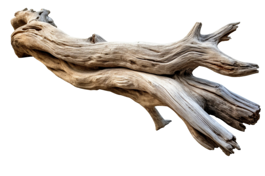 Driftwood. isolated object, transparent background