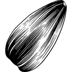 Hand drawn Sunflower Seed Sketch Illustration