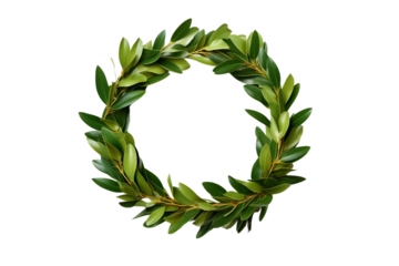 Laurel wreath. isolated object, transparent background