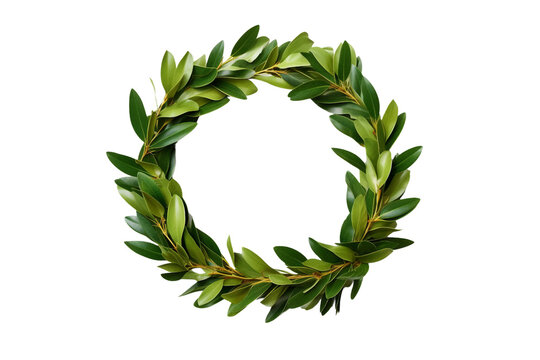 Laurel wreath. isolated object, transparent background