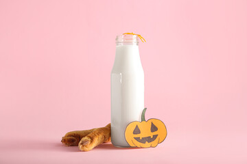 Bottle of milk and tasty cookies for Halloween on pink background