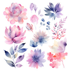 Watercolor flowers set. Handmade illustration. Isolated on white background.