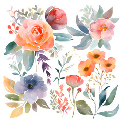 Watercolor flowers set. Hand painted illustration. Floral background.