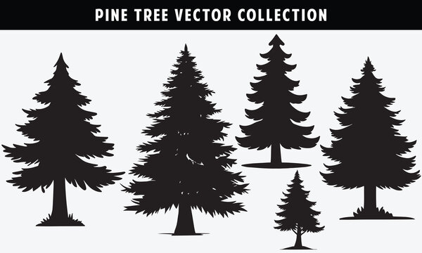 Silhouette of pine trees collection. black and white design for website 
