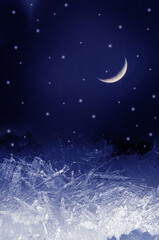 Obraz na płótnie Canvas Winter night landscape with ice crystal and dark sky , moon