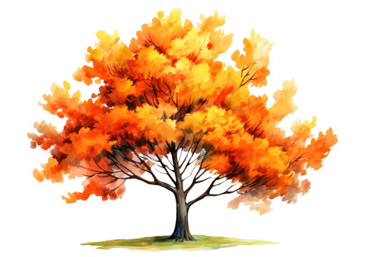 Watercolor illustration of an autumn tree with yellow foliage isolated on transparent background, Generative AI