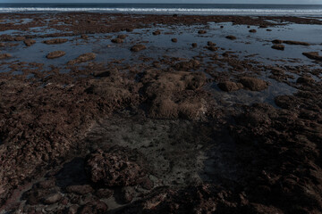 scenery sunny day above the coral reef during low tide 