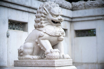 Fototapeta na wymiar Chinese Stone Lion in Thai temple isolated on white background.Beside