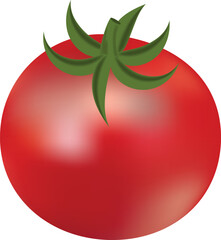 Red ripe tomato on transparent background