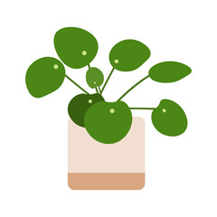 Indoor Plants Vector Illustration