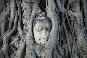 Buddha's head (XVIII century) grown into tree roots. Ayutthaya city symbol, Thailand