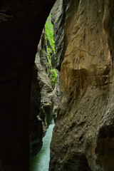 Aareschlucht in Switzerland