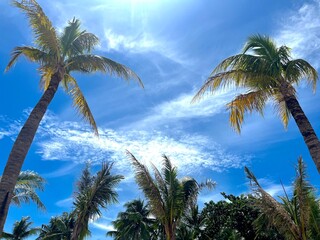 Fototapeta na wymiar Beautiful tropical beach with palm trees in Thailand
