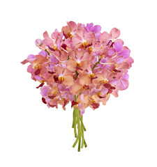 Bouquet of cut out pink old rose vanda orchid stem isolated on white background on summer season