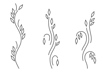 Vines collection isolated on white background. Line art style. Stylized beautiful plants silhouette for logo, eco design, organic decor, embroidery, border or other use. Vector illustration. Set.