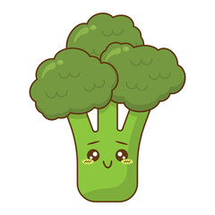 happy broccoli kawaii style. cute png illustration fruit and vegetable characters
