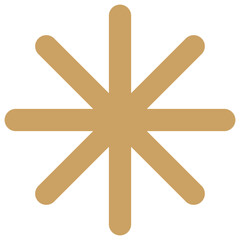 Modern Minimal Merry Christmas Icon
