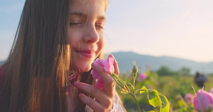 Bulgarian beautiful girl in ethnic folklore clothing breathing fresh aroma of oil bearing Rose Damascena at sunrise at Rose valley. Nature of Bulgaria