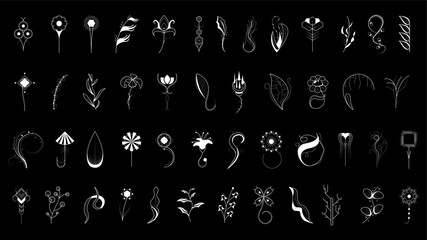 Big Abstract Set Doodle Elements Hand Drawn Collection Botanic Herbal Flora Leaf Branch Vine Flower Plant Elements F Vector Desgin Style