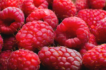 Fresh sweet raspberries close-up. Ripe raspberries macro photography, fruit background