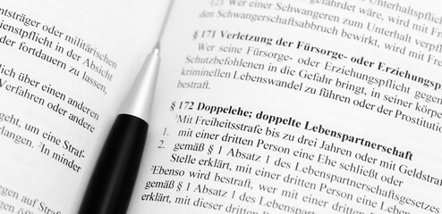 Doppelehe Artikel 172 Strafgesetzbuch