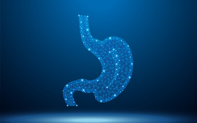 Obraz premium Human stomach digestive organ low poly wireframe with abstract mesh line and dot point. Polygonal wireframe and low poly vector illustration.