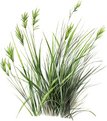 Naklejka premium green grass watercolor clipart isolated on white background