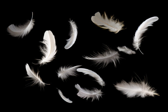 white feathers flying on a black background, Generative AI