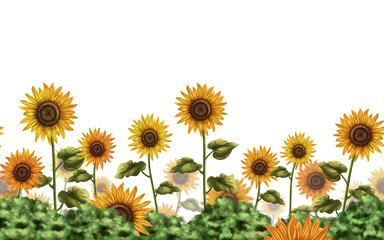 Horizontal seamless border with a composition of yellow flowers. A field of sunflowers in the village. Farmland, a place for grazing animals. Digital illustration on white background. Design template