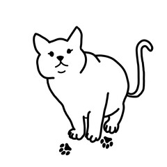 Cat01