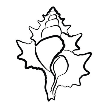recommend clip art: Triton shell vector icon design. Marine world flat icon.