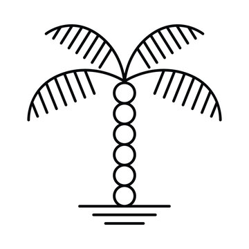 Geometric palm tree vector icon design. Bohemian flat icon.
