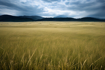 grassland. Generative AI