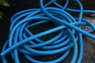 Blue water hose coiled in the yard