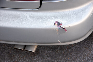 A car has a dented rear bumper after an accident get damaged