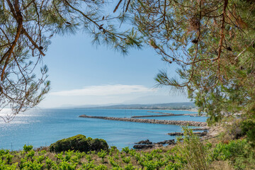 View of the vineyard on the shore, port and Aegean Sea, Kolymvari (Kolymbari), Platanias, Crete, Greece