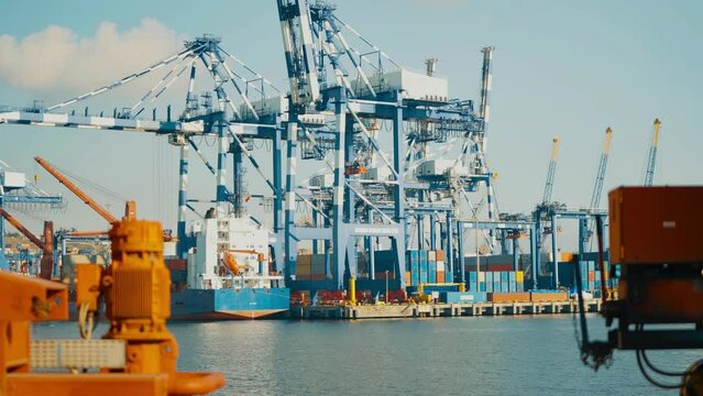4K footage from commercial port area in sunny daylight. Port crane going down for grabbing container. Gigantic port crane structure by the sea stock video.