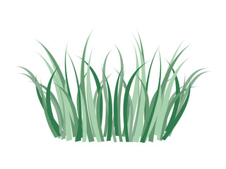 Green grass bush icon isolated on transparent and white background. Element with a bunch of grass close-up for design decoration with nature. Summer vector illustration in cartoon flat style.