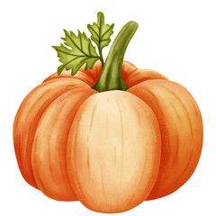 Halloween pumpkin elements watercolor painting.