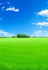 Obraz premium Green meadow and blue sky, Generative AI Illustration.