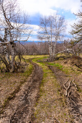 South Ural forest road with a unique landscape, vegetation and diversity of nature.